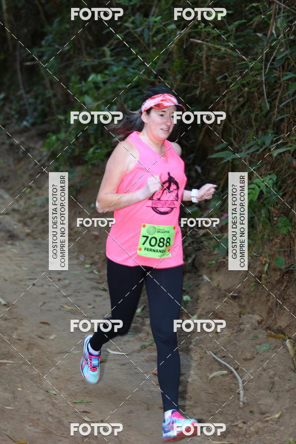 Buy your photos of the eventCORRIDA DOS EUCALIPTOS 2018 on Fotop