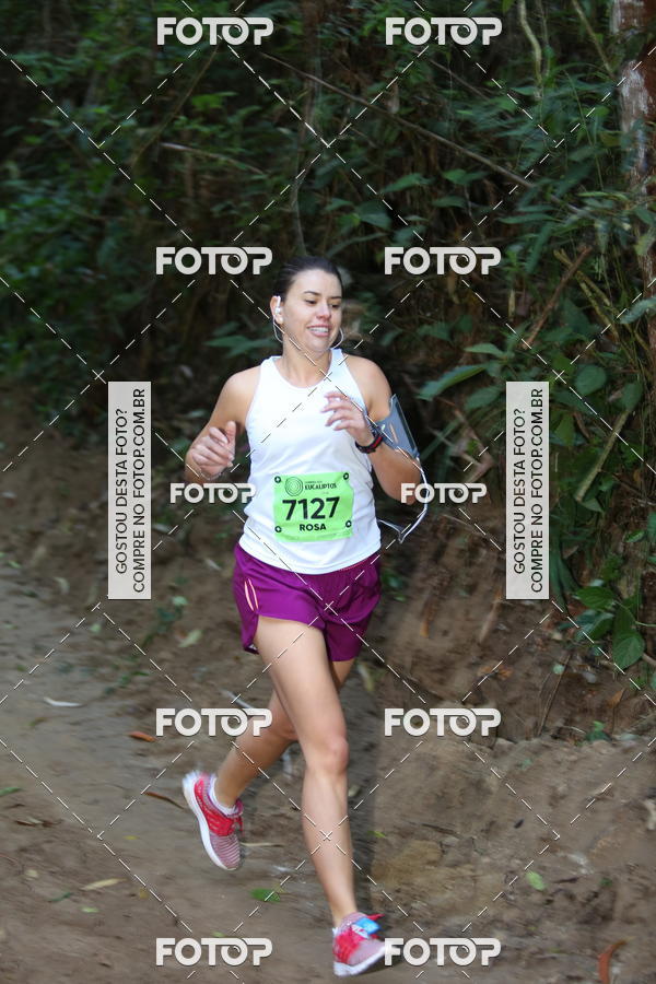 Buy your photos of the eventCORRIDA DOS EUCALIPTOS 2018 on Fotop