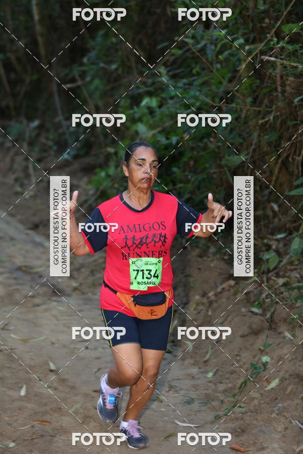 Buy your photos of the eventCORRIDA DOS EUCALIPTOS 2018 on Fotop