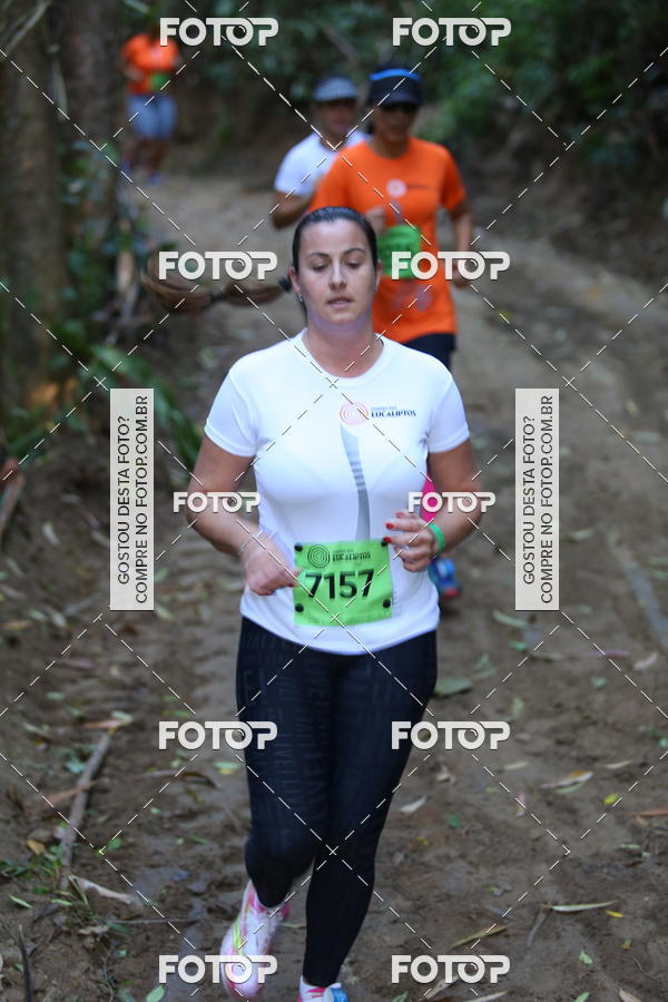 Buy your photos of the eventCORRIDA DOS EUCALIPTOS 2018 on Fotop