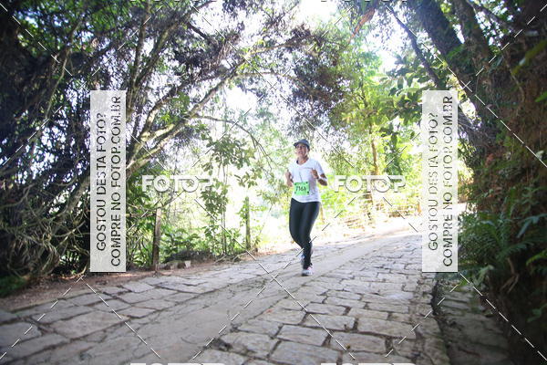 Buy your photos of the eventCORRIDA DOS EUCALIPTOS 2018 on Fotop