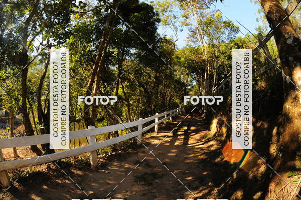 Buy your photos of the eventCORRIDA DOS EUCALIPTOS 2018 on Fotop