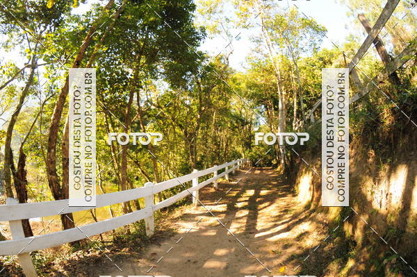 Buy your photos of the eventCORRIDA DOS EUCALIPTOS 2018 on Fotop