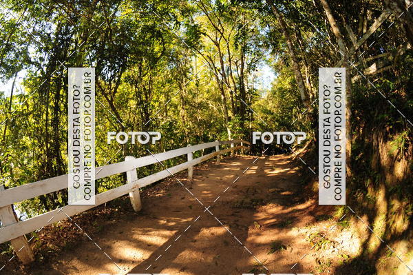 Buy your photos of the eventCORRIDA DOS EUCALIPTOS 2018 on Fotop