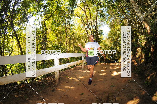 Buy your photos of the eventCORRIDA DOS EUCALIPTOS 2018 on Fotop