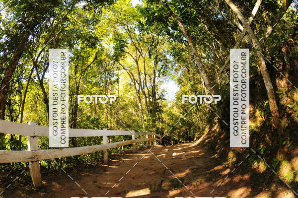 Buy your photos of the eventCORRIDA DOS EUCALIPTOS 2018 on Fotop