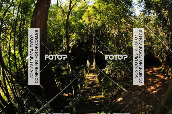 Buy your photos of the eventCORRIDA DOS EUCALIPTOS 2018 on Fotop