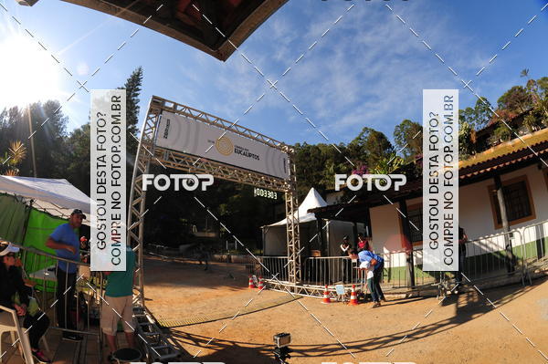 Buy your photos of the eventCORRIDA DOS EUCALIPTOS 2018 on Fotop