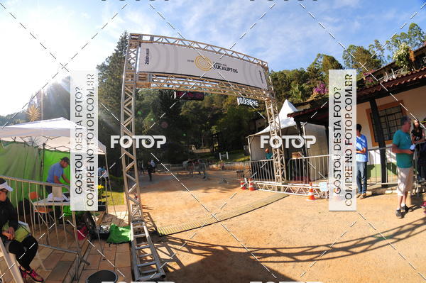 Buy your photos of the eventCORRIDA DOS EUCALIPTOS 2018 on Fotop