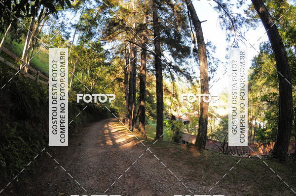 Buy your photos of the eventCORRIDA DOS EUCALIPTOS 2018 on Fotop