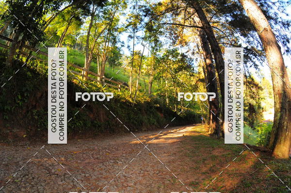 Buy your photos of the eventCORRIDA DOS EUCALIPTOS 2018 on Fotop