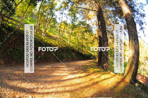 Buy your photos of the eventCORRIDA DOS EUCALIPTOS 2018 on Fotop