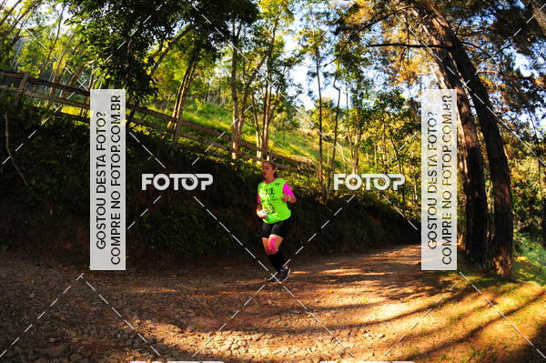 Buy your photos of the eventCORRIDA DOS EUCALIPTOS 2018 on Fotop