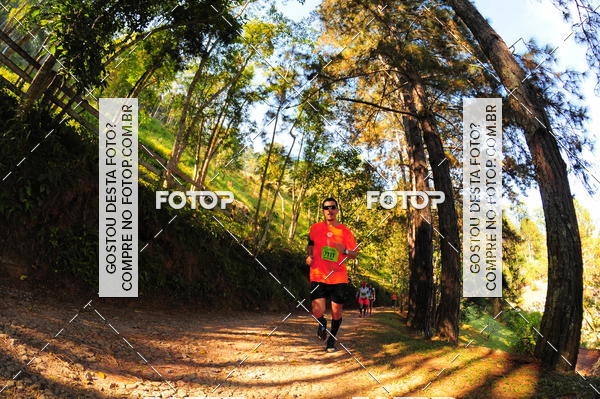 Buy your photos of the eventCORRIDA DOS EUCALIPTOS 2018 on Fotop