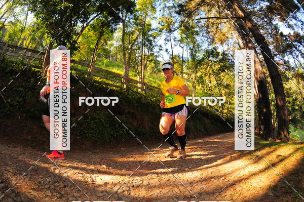 Buy your photos of the eventCORRIDA DOS EUCALIPTOS 2018 on Fotop