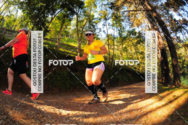 Buy your photos of the eventCORRIDA DOS EUCALIPTOS 2018 on Fotop