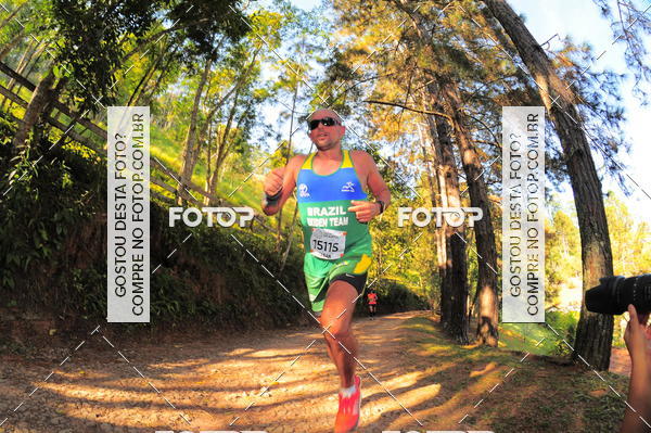 Buy your photos of the eventCORRIDA DOS EUCALIPTOS 2018 on Fotop