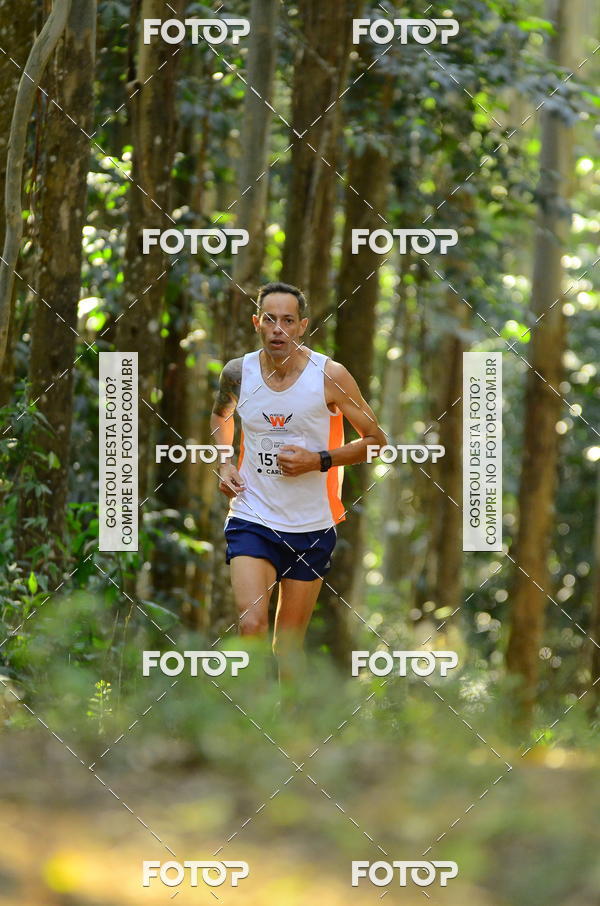 Buy your photos of the eventCORRIDA DOS EUCALIPTOS 2018 on Fotop