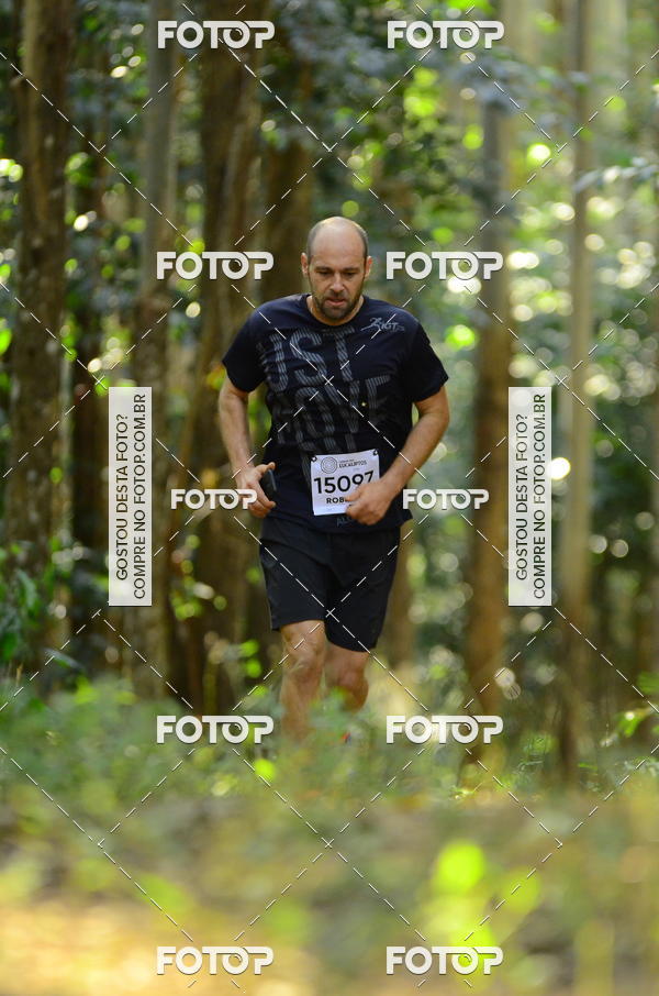 Buy your photos of the eventCORRIDA DOS EUCALIPTOS 2018 on Fotop
