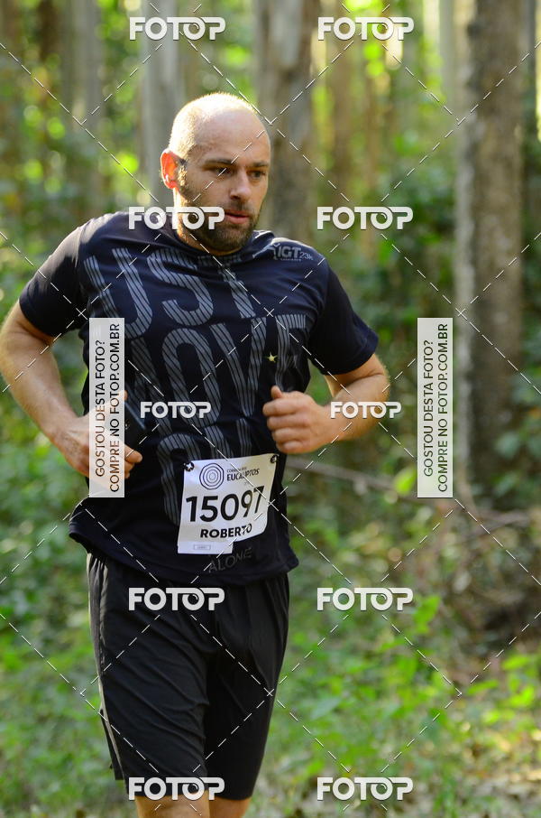 Buy your photos of the eventCORRIDA DOS EUCALIPTOS 2018 on Fotop