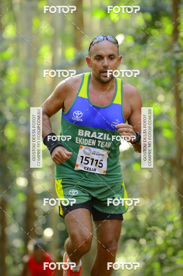 Buy your photos of the eventCORRIDA DOS EUCALIPTOS 2018 on Fotop