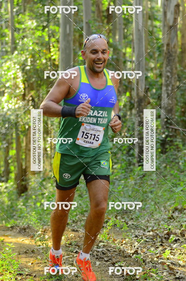 Buy your photos of the eventCORRIDA DOS EUCALIPTOS 2018 on Fotop