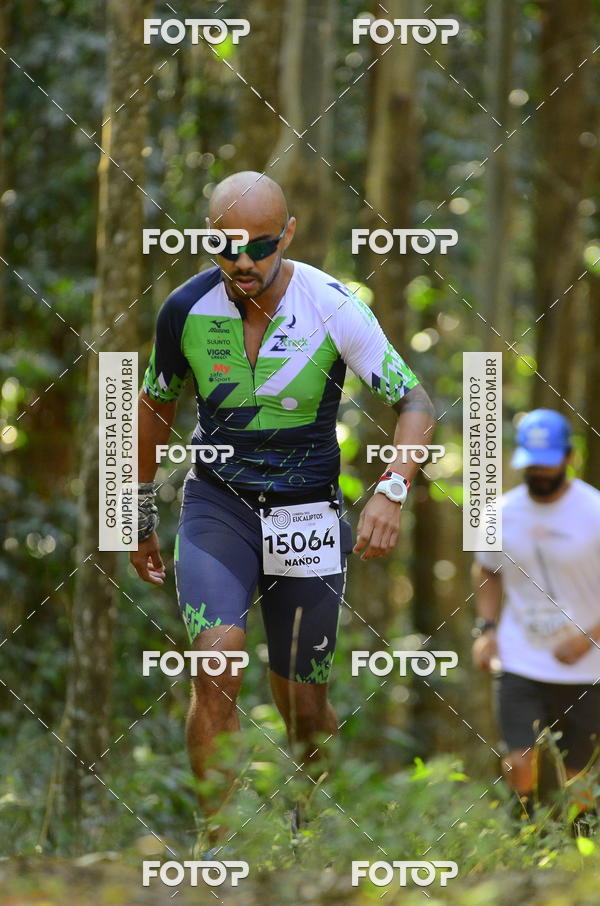 Buy your photos of the eventCORRIDA DOS EUCALIPTOS 2018 on Fotop