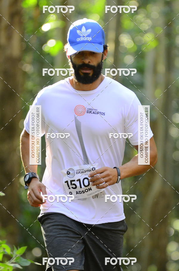 Buy your photos of the eventCORRIDA DOS EUCALIPTOS 2018 on Fotop