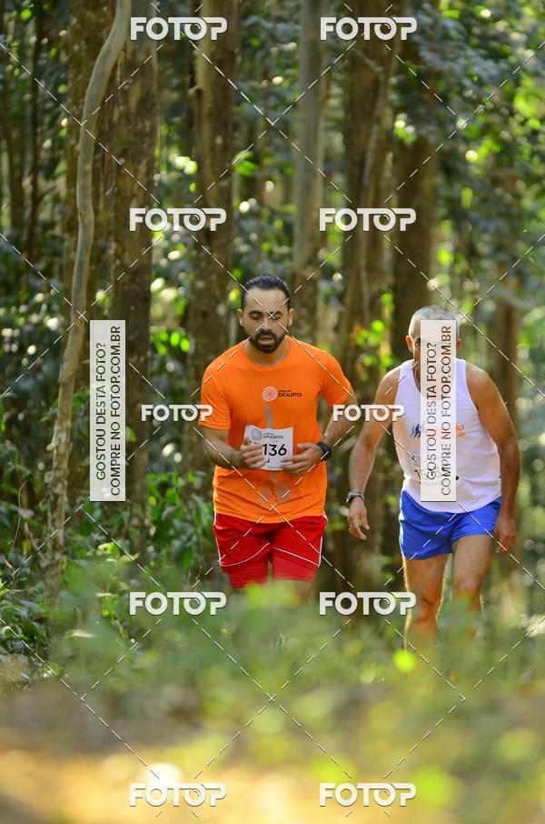 Buy your photos of the eventCORRIDA DOS EUCALIPTOS 2018 on Fotop