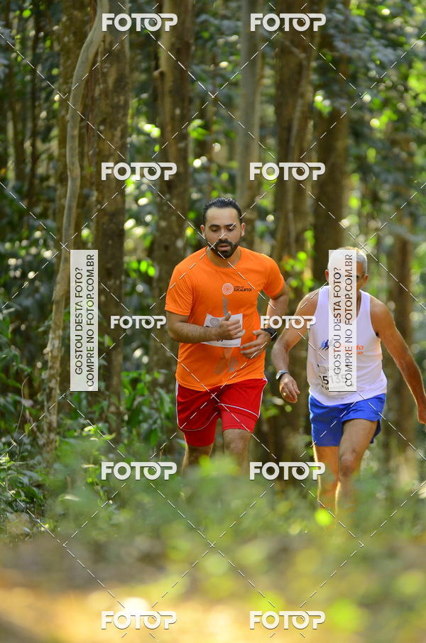 Buy your photos of the eventCORRIDA DOS EUCALIPTOS 2018 on Fotop