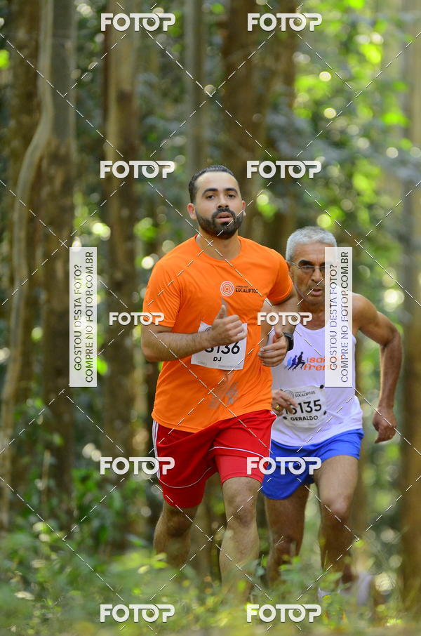 Buy your photos of the eventCORRIDA DOS EUCALIPTOS 2018 on Fotop