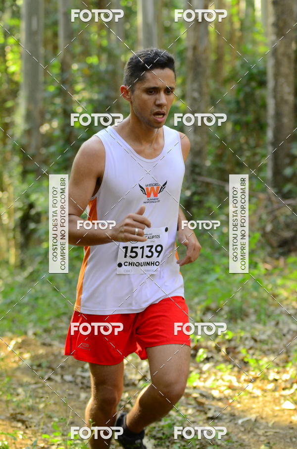 Buy your photos of the eventCORRIDA DOS EUCALIPTOS 2018 on Fotop