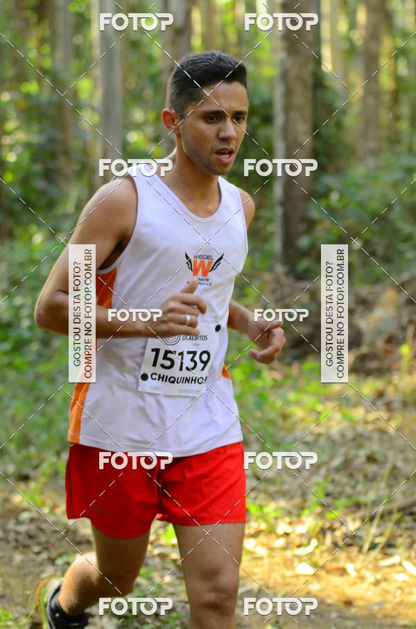 Buy your photos of the eventCORRIDA DOS EUCALIPTOS 2018 on Fotop