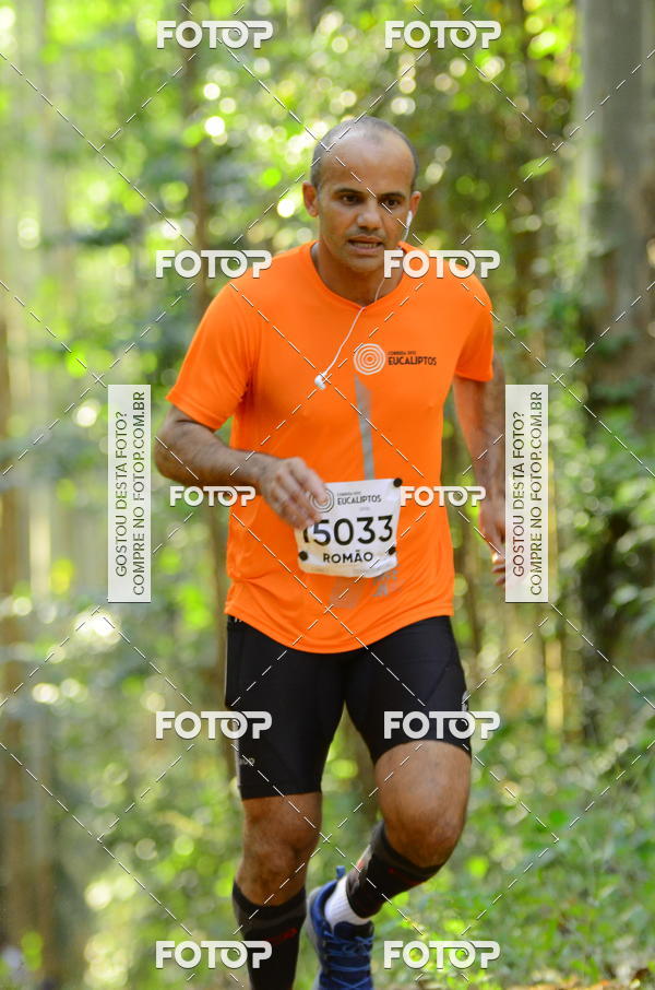 Buy your photos of the eventCORRIDA DOS EUCALIPTOS 2018 on Fotop