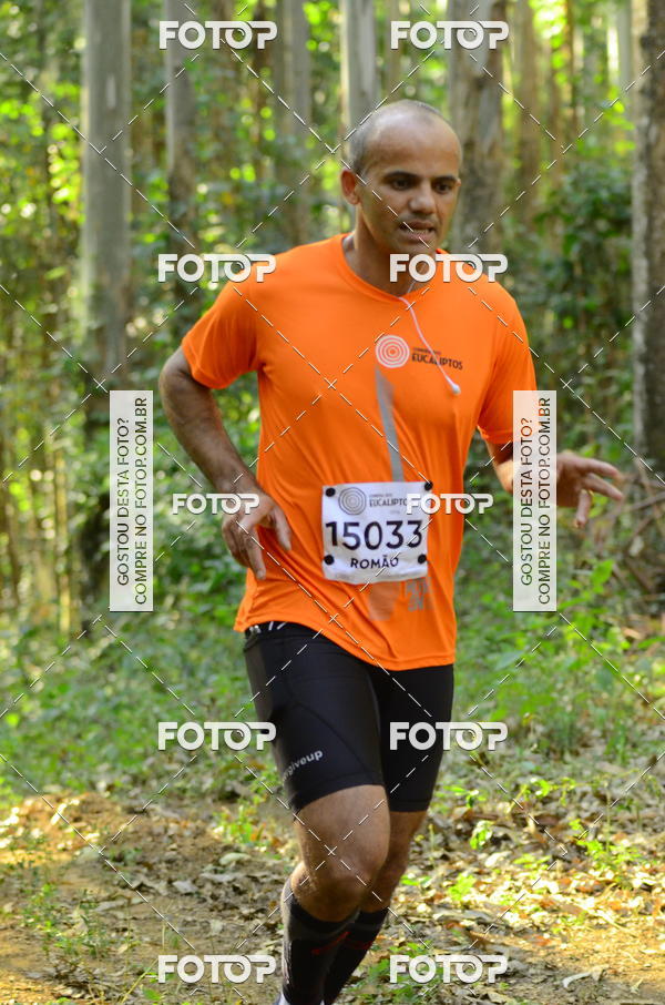 Buy your photos of the eventCORRIDA DOS EUCALIPTOS 2018 on Fotop