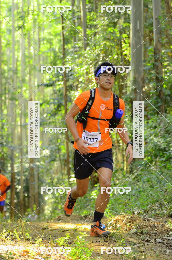 Buy your photos of the eventCORRIDA DOS EUCALIPTOS 2018 on Fotop