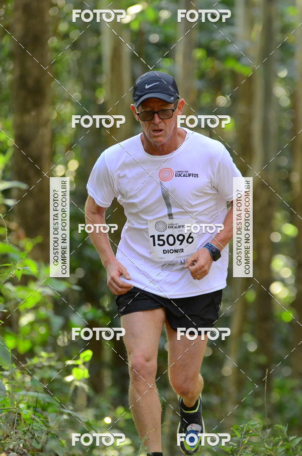 Buy your photos of the eventCORRIDA DOS EUCALIPTOS 2018 on Fotop