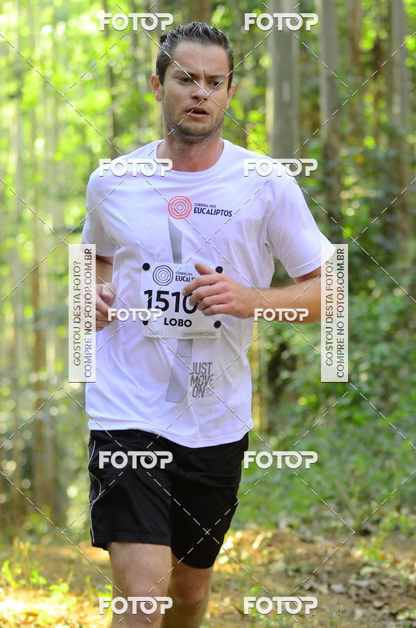 Buy your photos of the eventCORRIDA DOS EUCALIPTOS 2018 on Fotop