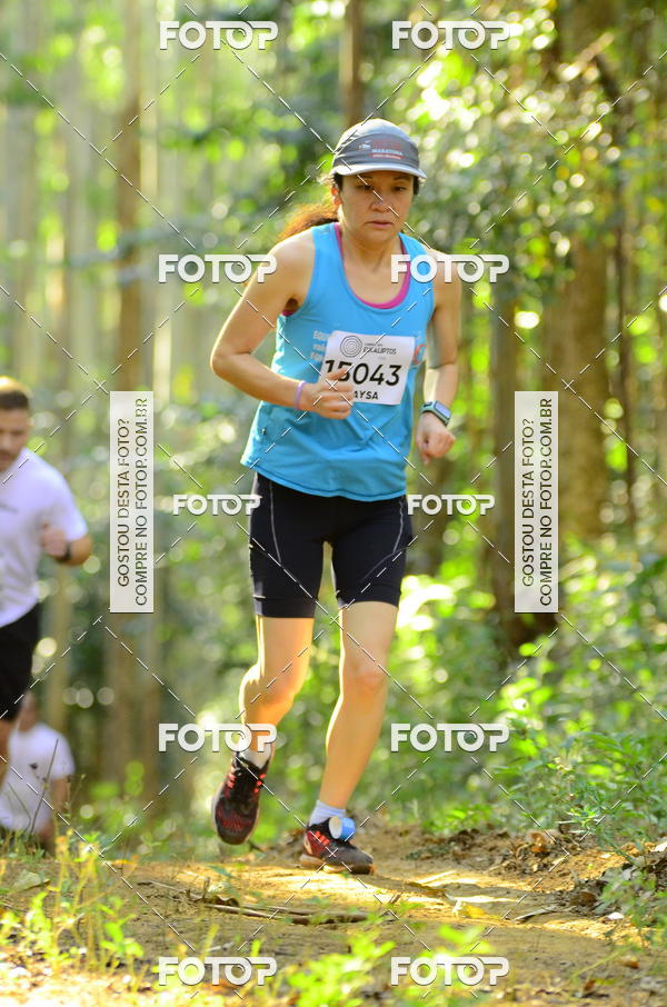 Buy your photos of the eventCORRIDA DOS EUCALIPTOS 2018 on Fotop