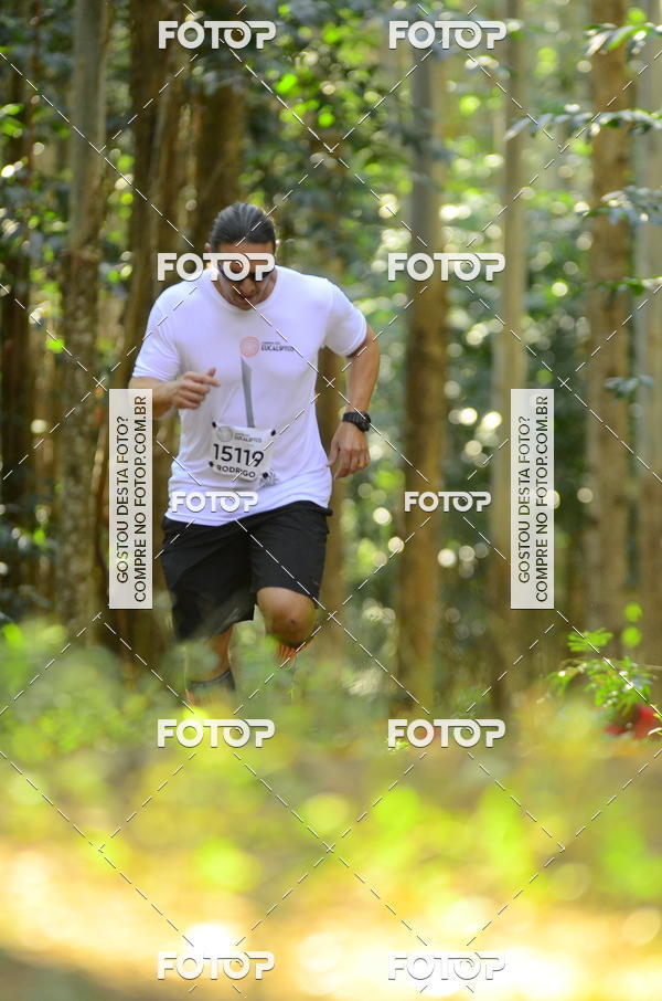 Buy your photos of the eventCORRIDA DOS EUCALIPTOS 2018 on Fotop