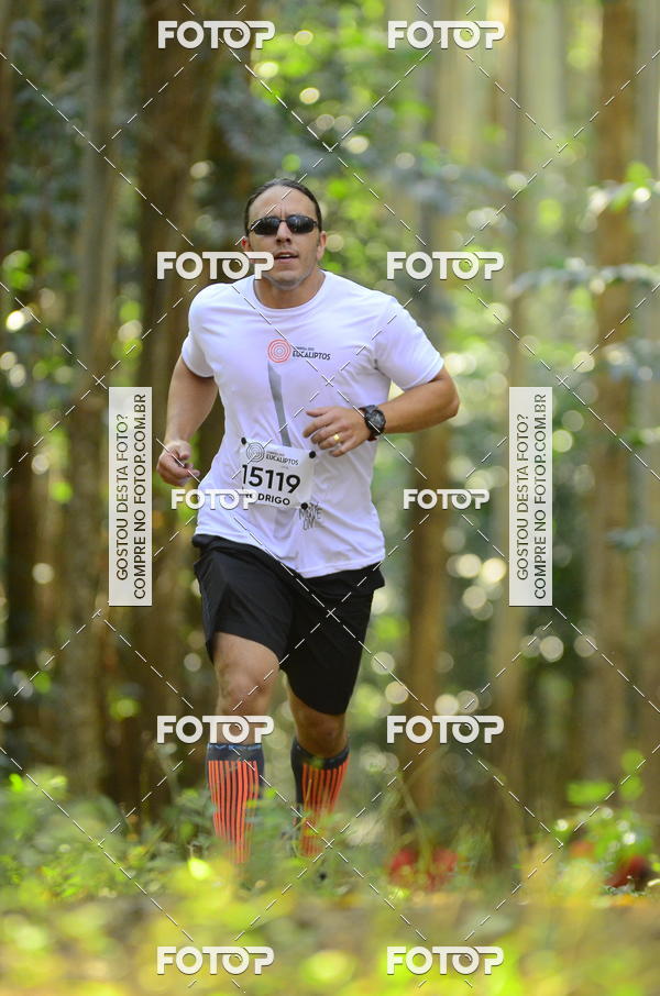 Buy your photos of the eventCORRIDA DOS EUCALIPTOS 2018 on Fotop