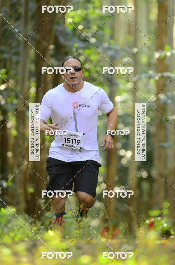 Buy your photos of the eventCORRIDA DOS EUCALIPTOS 2018 on Fotop