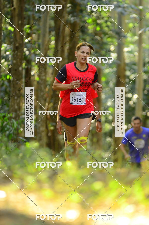 Buy your photos of the eventCORRIDA DOS EUCALIPTOS 2018 on Fotop