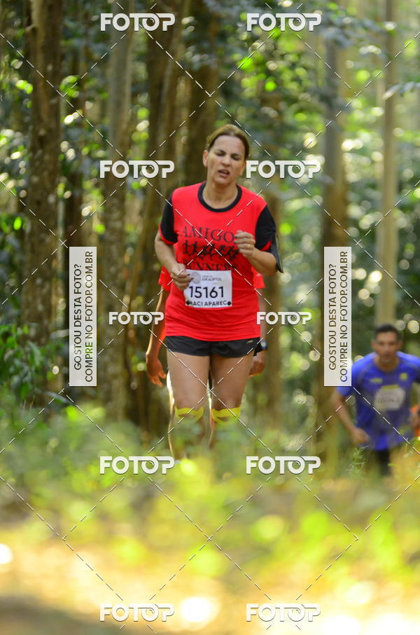 Buy your photos of the eventCORRIDA DOS EUCALIPTOS 2018 on Fotop