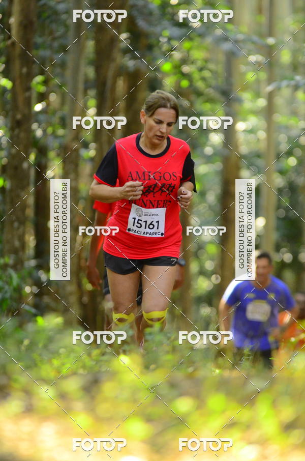 Buy your photos of the eventCORRIDA DOS EUCALIPTOS 2018 on Fotop