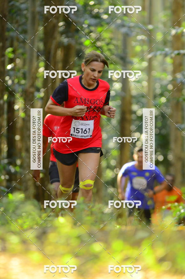 Buy your photos of the eventCORRIDA DOS EUCALIPTOS 2018 on Fotop