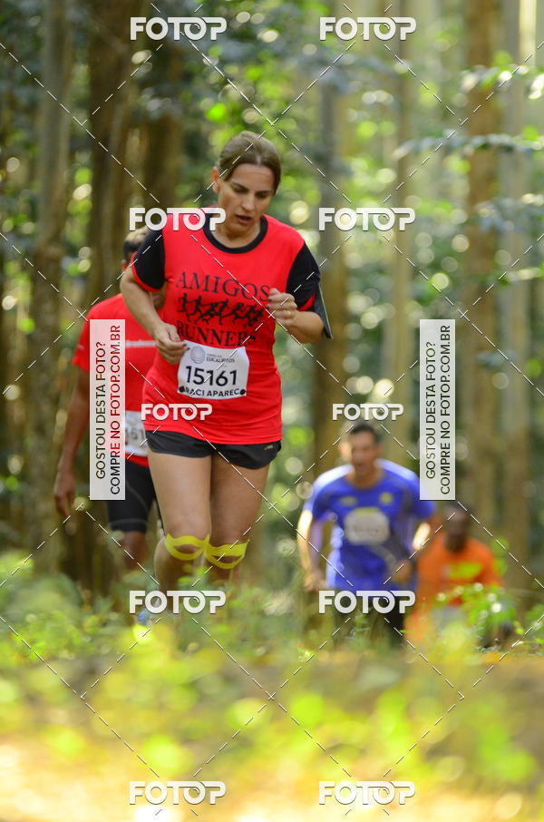 Buy your photos of the eventCORRIDA DOS EUCALIPTOS 2018 on Fotop