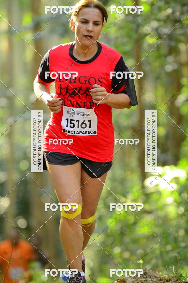 Buy your photos of the eventCORRIDA DOS EUCALIPTOS 2018 on Fotop