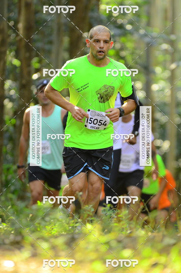 Buy your photos of the eventCORRIDA DOS EUCALIPTOS 2018 on Fotop