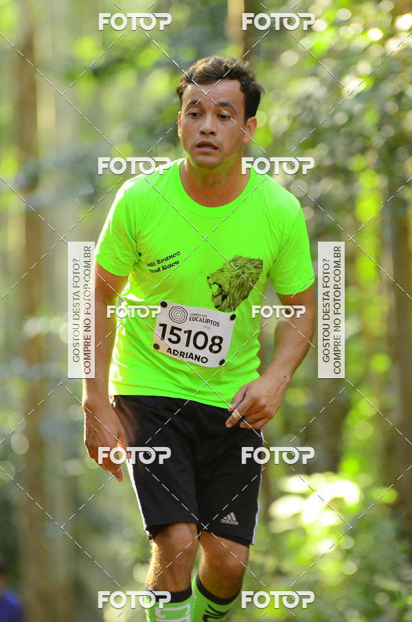 Buy your photos of the eventCORRIDA DOS EUCALIPTOS 2018 on Fotop